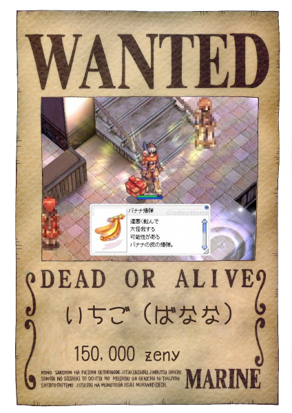 onepiece-wanted
